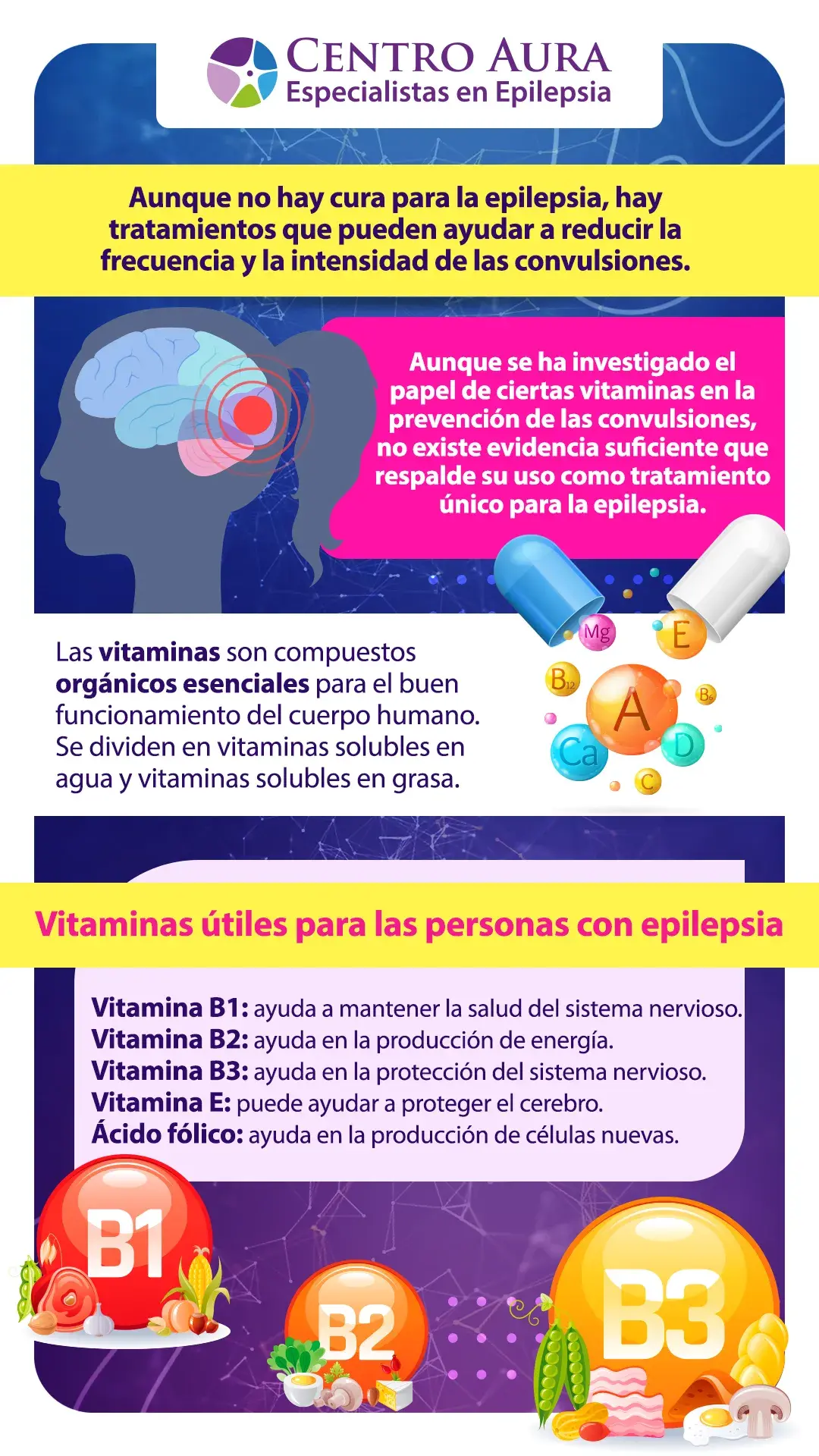 vitaminas para curar la epilepsia - Infografía