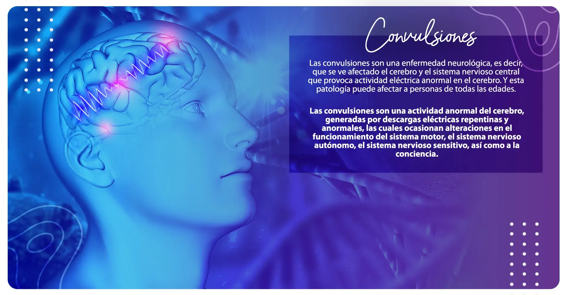 Convulsiones y cerebro Las convulsiones afectan al cerebro y al sistema nervioso